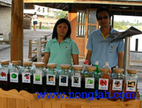 �ù���.��ɳ���-�ش�����Թ�͹�Ź�,���ʴ,����Ѵ����ҳ,����һ��,����·ʹ,�ǴἹ��,�����,�������,�������ҳ,nongfah,vergi,