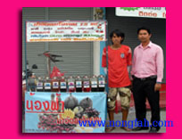 ��ɳ���-�ش�����Թ�͹�Ź�,���ʴ,����Ѵ����ҳ,����һ��,����·ʹ,�ǴἹ��,�����,�������,������Թ����,nongfah,vergi,���,����.������.����ͧ�����͡���.�������������.�����.canon,0816555474